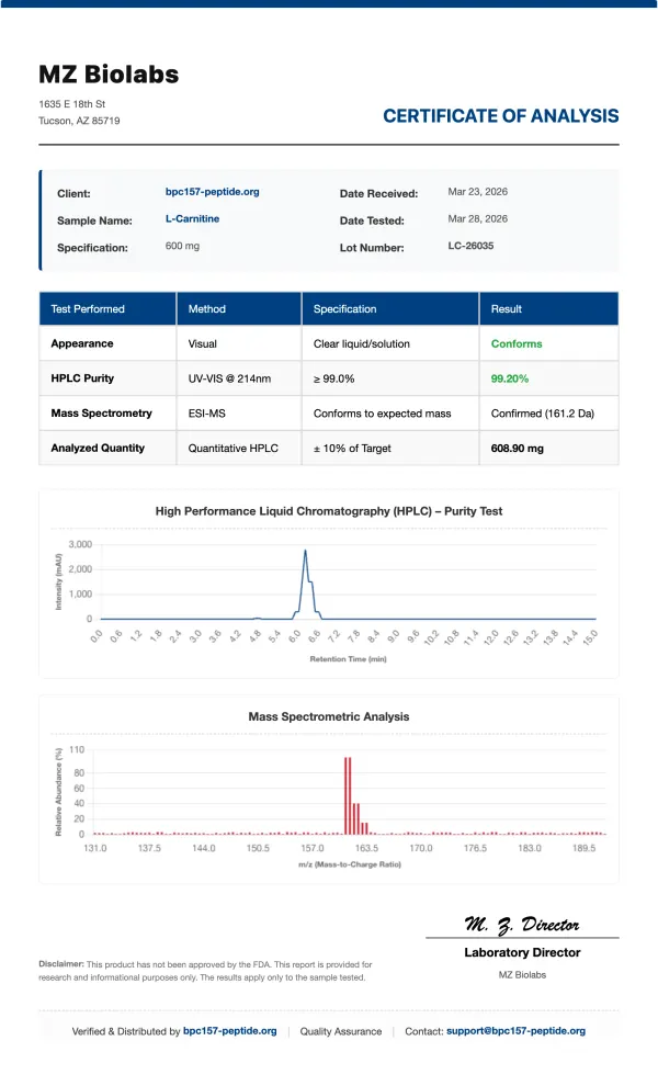Premium L-Carnitine Solution | 10ml * 10 Vials | Research Grade